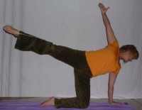 /album/fotogalerie/katze-fliegende-basic-jpg/